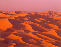 Dunes 