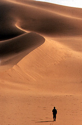 Dune