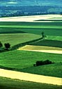 Mosaique de champs cultivés